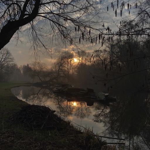 Sunrise at Vondelpark (shot on iPhone), Amsterdam, NL 2018 © andreas rieger